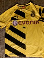 Borussia Dortmund Trikot Neuhausen-Nymphenburg - Neuhausen Vorschau