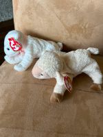 Ty beanie Baby Dortmund - Aplerbeck Vorschau