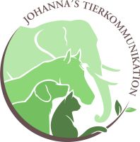 Tierkommunikation: telepathisches Gespräch mit deinem Tier Stuttgart - Stuttgart-Mitte Vorschau