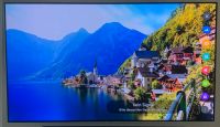 LG OLED 65B7D-Z  65Zoll Fernseher Niedersachsen - Salzgitter Vorschau