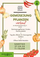 Gemüsejungpflanzen  Verkauf 27.04 Vernum Nordrhein-Westfalen - Geldern Vorschau