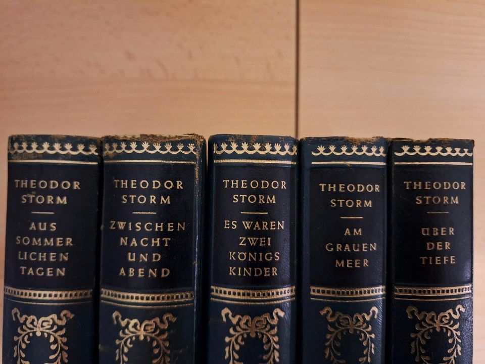 Büchersammlung Theodor Storm in Husby