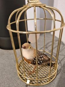 Deko Metall Vogelkäfig Dekokäfig Käfig Antik Shabby