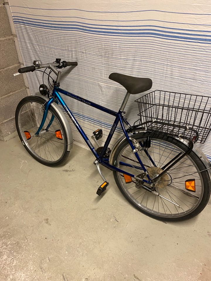 26“ Herren Fahrrad in Osthofen