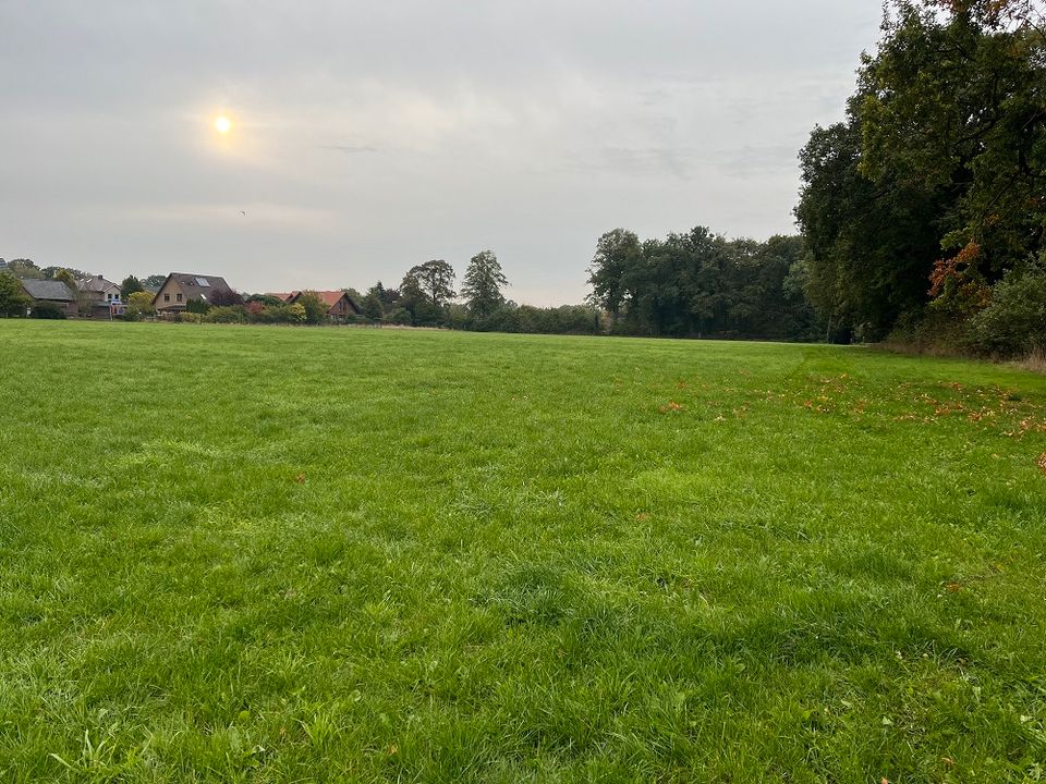 Bauen im Cuxland: Freie Grundstücke im Neubaugebiet Lunestedt "Köpenweg II" in Lunestedt