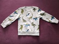 Dino Sweatshirt Gr. 110 C&A Köln - Zollstock Vorschau