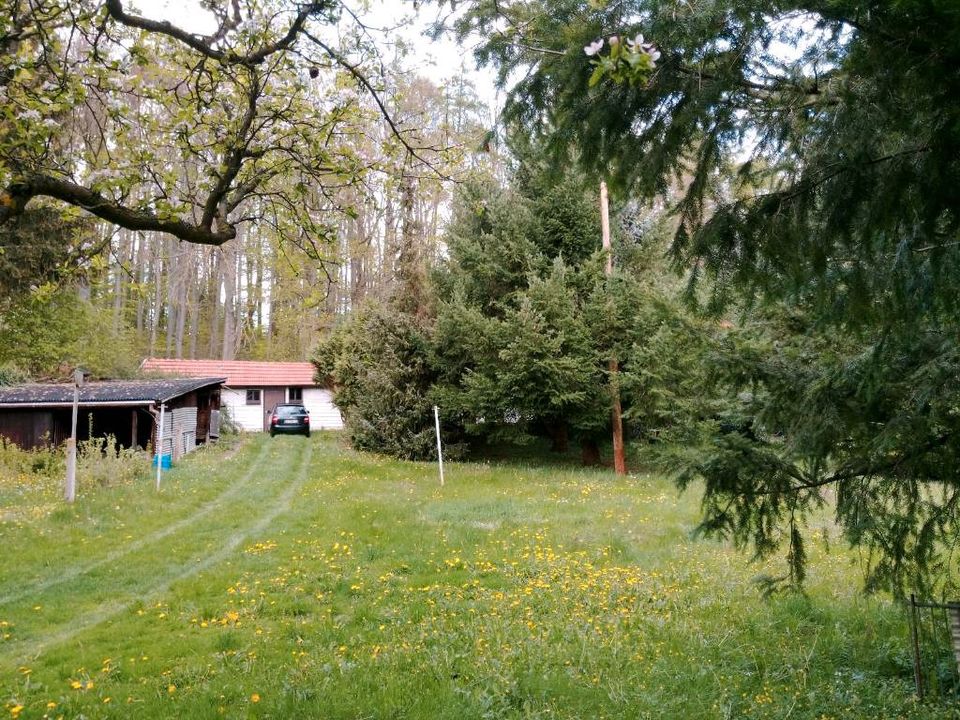 Haus am Waldrand * Ernstroda Friedrichroda * Einfamilienhaus Südh in Friedrichroda