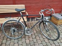 Rennrad/Sportfahrrad Scheunenfund Hessen - Battenberg Vorschau