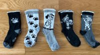 5 x Baby Socken „101 Dalmatiner“ Gr. 14-17 München - Bogenhausen Vorschau