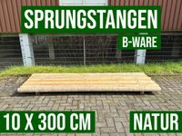 Sprungstange Hindernisstangen Hindernis Holz - 10 x 300 - B-Ware Nordrhein-Westfalen - Lennestadt Vorschau