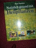 Natürlich gesund mit Heilpflanzen von Bruno Vonarburg Niedersachsen - Schöningen Vorschau