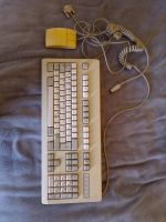 Tastatur PC Keyboard /Logitech PC-Maus Eingabegerät Nordrhein-Westfalen - Marsberg Vorschau