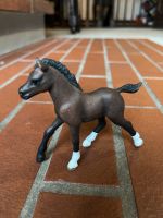 Schleich Fohlen / Pony Wuppertal - Oberbarmen Vorschau