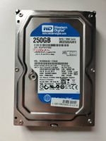 250GB HDD Festplatte 3,5" Zoll 7200rpm Western Digital Blue Bayern - Weil a. Lech Vorschau