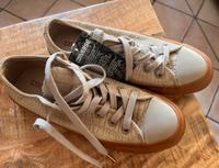 Converse Sneaker Gr. 37 – Neu & ungetragen Wandsbek - Hamburg Bergstedt Vorschau