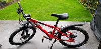 Mountainbike Rockrider ST 900 20 Zoll / Kinderfahrrad Bayern - Röthenbach Vorschau