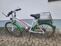 Pegasus Jugend Fahrrad Bayern - Wendelstein Vorschau