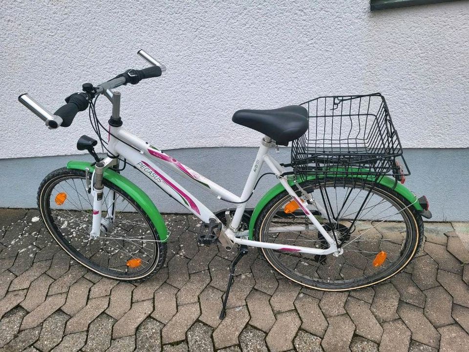 Pegasus Jugend Fahrrad in Wendelstein