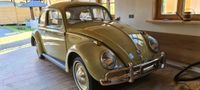 TOLLER Volkswagen 1961er Käfer im seltenen Farbton Bambus Nordrhein-Westfalen - Kreuzau Vorschau