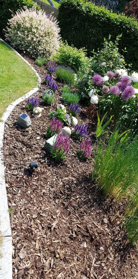 Gartengestaltung  Pflasterarbeiten Baggerarbeiten in Warburg