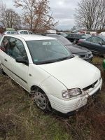 Seat Arosa Schlachtfest Sachsen-Anhalt - Klostermansfeld Vorschau