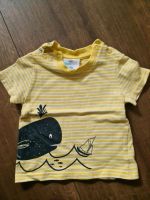 Babyset T-Shirt und Shorts Gr. 68 von Topomini Thüringen - Dingelstädt Vorschau