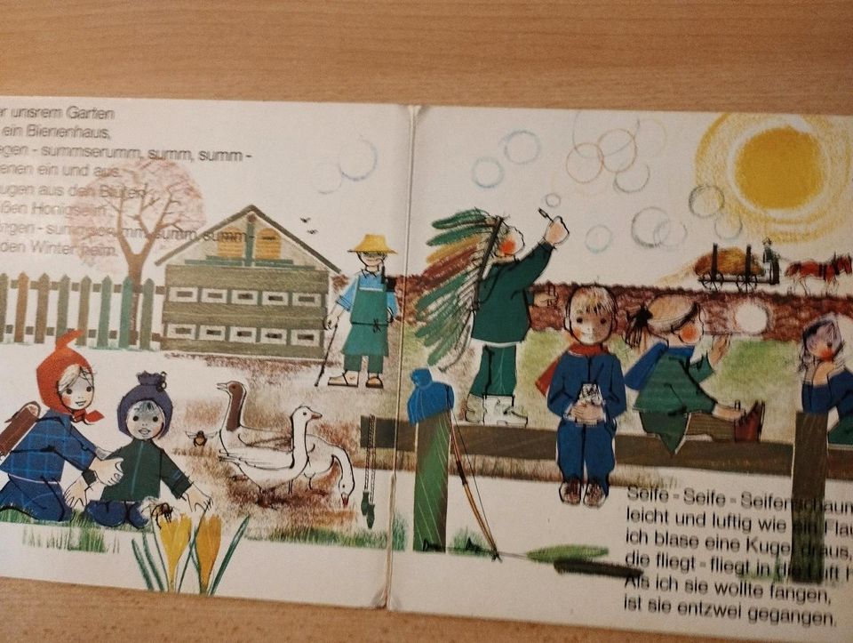 Alles fliegt, Hanna Schachenmeier Liane Müller aus 1960 Kinderbuc in Weißenburg in Bayern