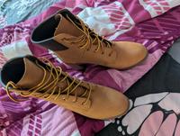 Timberland Schuhe Saarland - Schiffweiler Vorschau