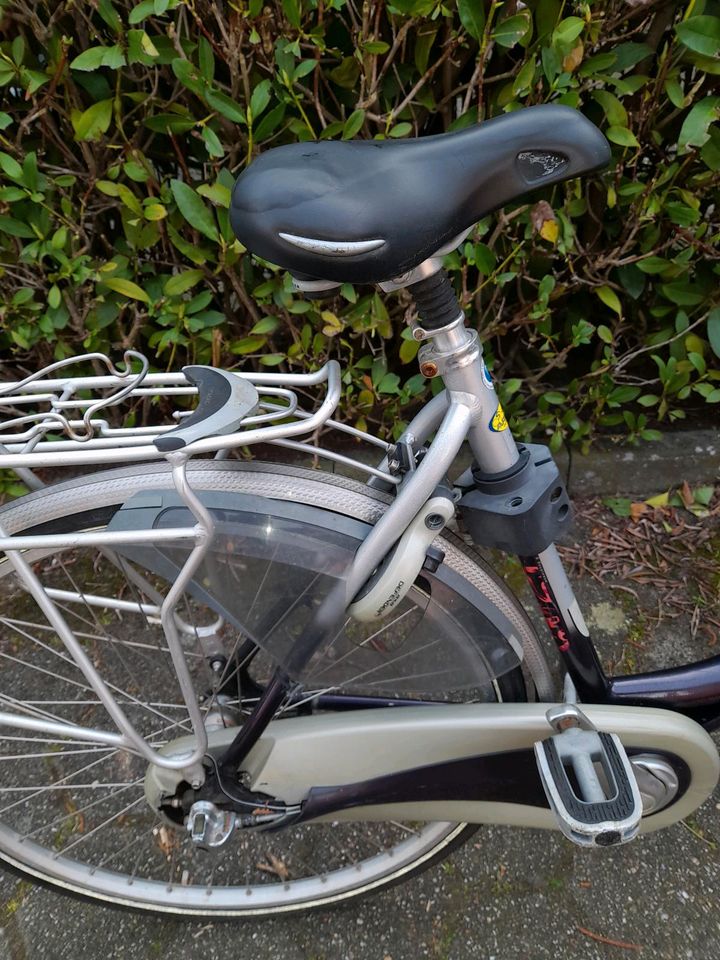 Gazelle Damenfahrrad Fahrrad in Papenburg