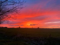 Haushaltshilfe, Unterstützung im Alltag für Senioren Niedersachsen - Varel Vorschau