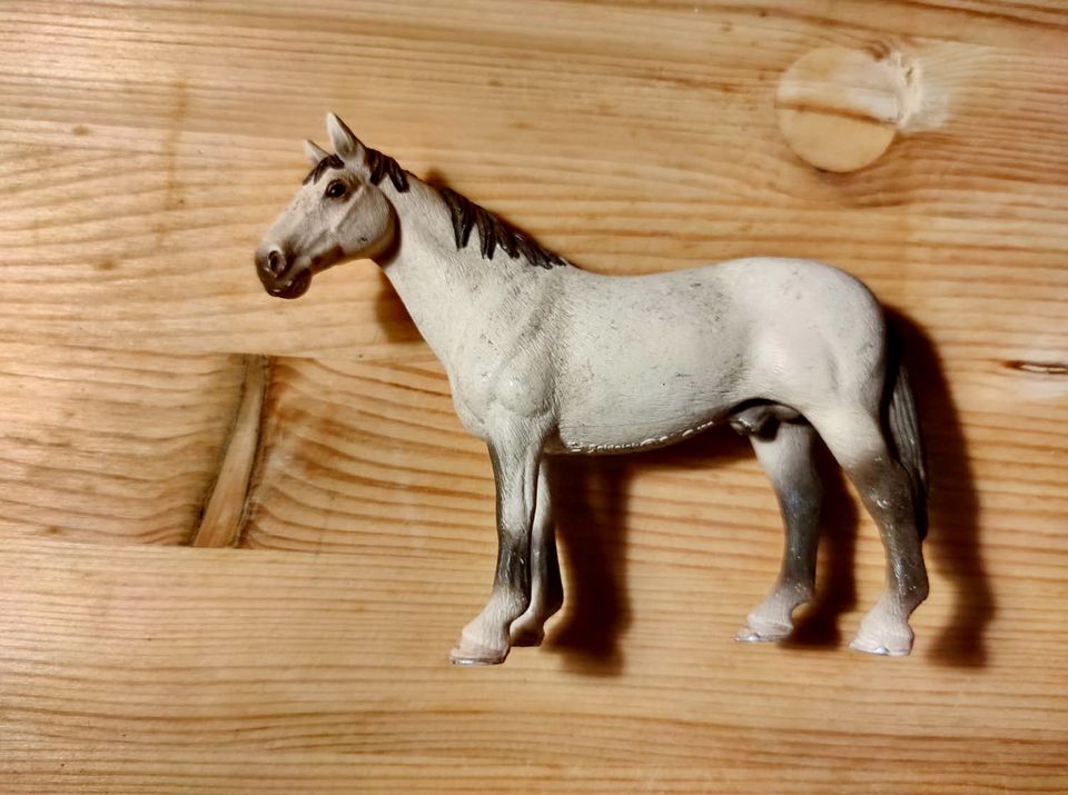 Schleich Pferde in gutem Zustand - ab 4€ in Bremen