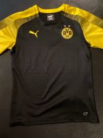 BVB Trikot M Bad Reichenhall - Nonn Vorschau