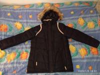 Winterjacke Damen Gr 42 Nordrhein-Westfalen - Meckenheim Vorschau