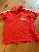 Lacoste Poloshirt gr 12 rot jungen kurze Arme 146/152 Hannover - Mitte Vorschau