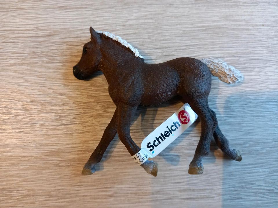 ☆NEU☆ Schleich 13885 Paint Horse Wallach & 13399 Schwarzwälder in Sauensiek