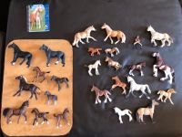 Schleich Pferde Fohlen Pony Reiterin Figuren Malbuch Baden-Württemberg - Dußlingen Vorschau