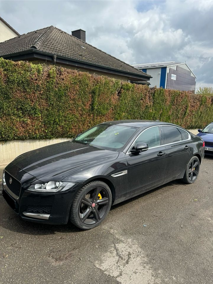 Jaguar XF 2017 MOTORGERÄUSCHE in Heilbronn