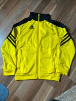 Adidas Trainingsjacke Bayern - Bernhardswald Vorschau