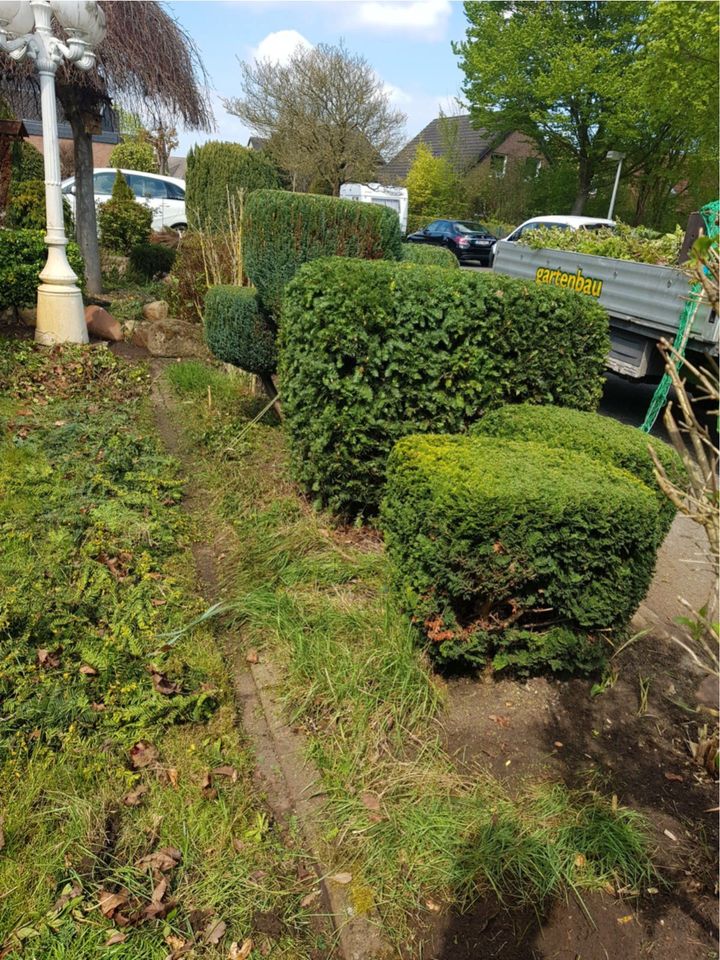 Gartenarbeit-Gartenpflege-Gärtner-Hausmeisterservice-Steuerfrei in Delmenhorst