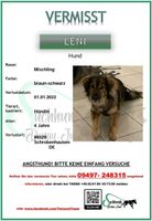 Hund Vermisst Bayern - Schrobenhausen Vorschau