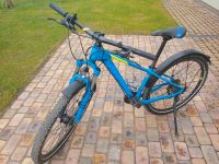 Mountainbike CUBE, Räder 27.5 Zoll, Kinder Brandenburg - Eggersdorf Vorschau