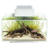 Fluval Edge LED 23L Aquarium-Set Nordrhein-Westfalen - Grefrath Vorschau