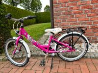 20 Zoll Falter Fahrrad Kinderfahrrad vgl mit Pegasus / Puky Nordrhein-Westfalen - Dülmen Vorschau