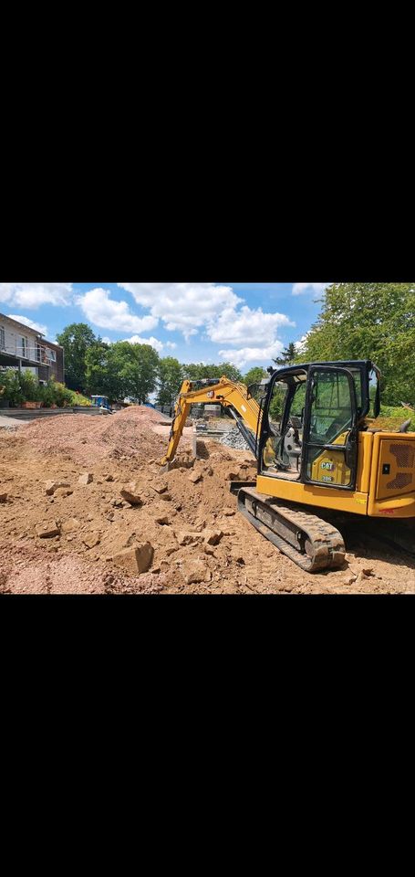 Rollrasen/Pflasterarbeiten/Baggerarbeiten/Baumfällung/Gartenpfleg in Wiesbaden