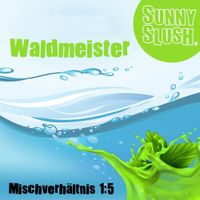 Slush Eis Sirup - Wald Meister | 5 Liter | SunnySlush Nordrhein-Westfalen - Steinfurt Vorschau