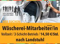 Wäscherei-Mitarbeiter/in (m/w/d), 14,50 €/Std., Landstuhl Rheinland-Pfalz - Landstuhl Vorschau