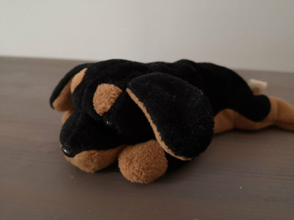 Ty Beanie Babie Sammlung Hund Dobermann Doby in Seligenstadt