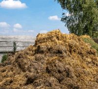 Pferdemist Leipzig - Burghausen-Rückmarsdorf Vorschau