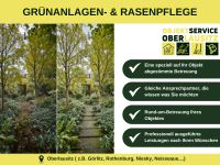 Grundstücksberäumung Entasten Baumfällung Gartenpflege Rasenmähen Sachsen - Rothenburg Vorschau