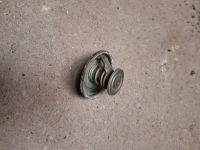 3er BMW E 36 328i Thermostat Rheinland-Pfalz - Alzey Vorschau